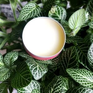 Organic Lip Balm with Raw Honey and Shea Butter 0.5 oz